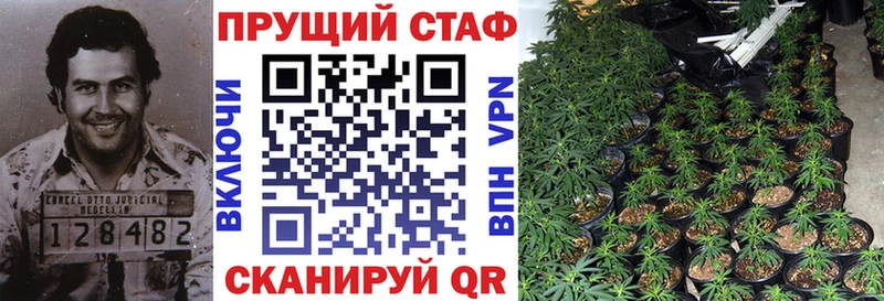 Купить наркотики цена Медвежьегорск Метадон  КОКАИН  АМФ  Меф мяу мяу  Гашиш  Alpha-PVP  Марихуана 