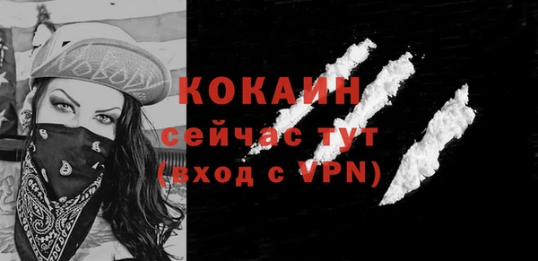 Альфа ПВП Лагань