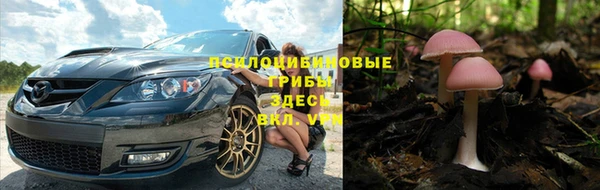 Альфа ПВП Лагань