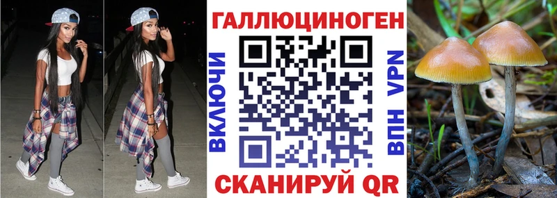 Галлюциногенные грибы Cubensis  купить закладку  Медвежьегорск 