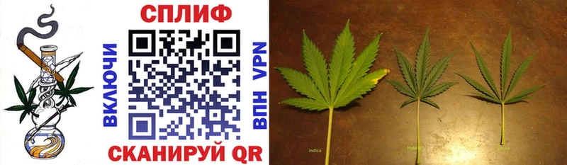 Конопля Bruce Banner Медвежьегорск